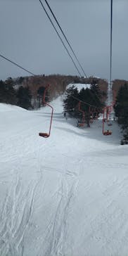 YAMABOKUワイルドスノーパークに投稿された画像（2025/3/5）