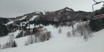 YAMABOKUワイルドスノーパークに投稿された画像（2025/3/5）