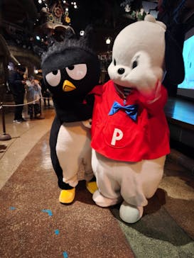 サンリオピューロランドに投稿された画像（2025/3/5）