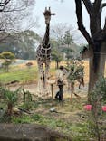 天王寺動物園に投稿された画像（2025/3/5）