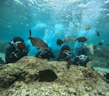 沖縄マリンサービス碧に投稿された画像（2025/3/5）