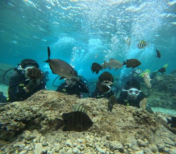 沖縄マリンサービス碧に投稿された画像（2025/3/5）