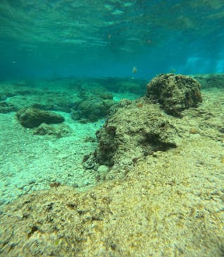 沖縄マリンサービス碧に投稿された画像（2025/3/5）