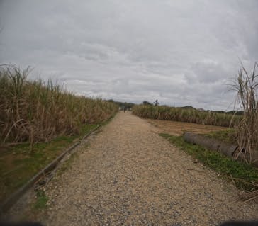 沖縄マリンサービス碧に投稿された画像（2025/3/5）