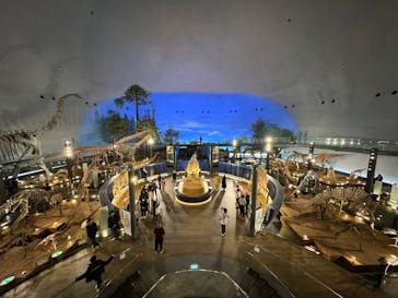 福井県立恐竜博物館に投稿された画像（2025/3/5）