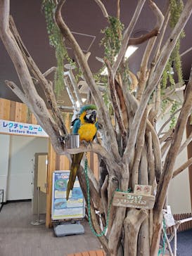 横浜・八景島シーパラダイスに投稿された画像（2025/3/5）