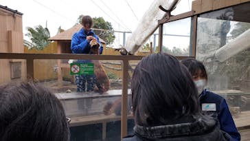 横浜・八景島シーパラダイスに投稿された画像（2025/3/5）