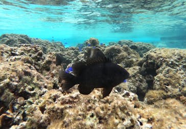 武藤潜水に投稿された画像（2025/3/5）