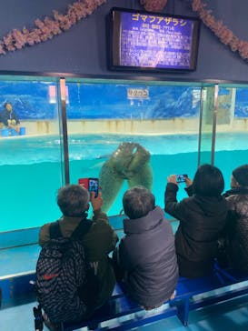 下田海中水族館に投稿された画像（2025/3/5）