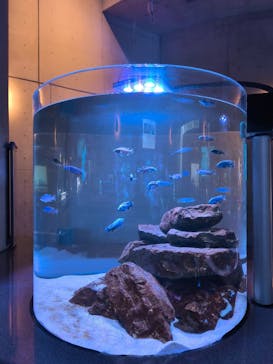 大分マリーンパレス水族館 「うみたまご」に投稿された画像（2025/3/5）