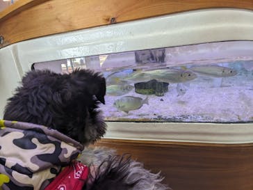 南知多ビーチランド＆南知多おもちゃ王国に投稿された画像（2025/3/5）