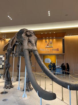 金曜ロードショーとジブリ展　三重展に投稿された画像（2025/3/5）