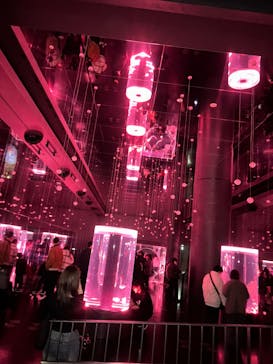 マクセル アクアパーク品川に投稿された画像（2025/3/5）