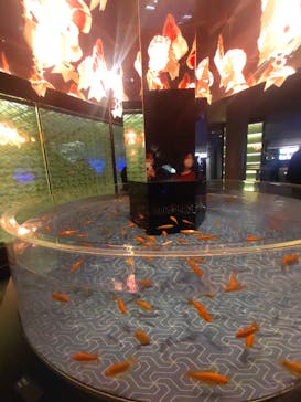 すみだ水族館に投稿された画像（2025/3/5）