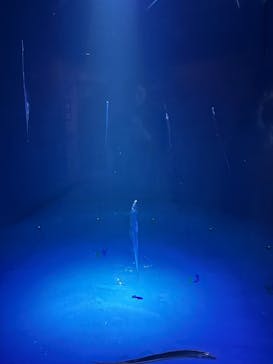 大分マリーンパレス水族館 「うみたまご」に投稿された画像（2025/3/5）