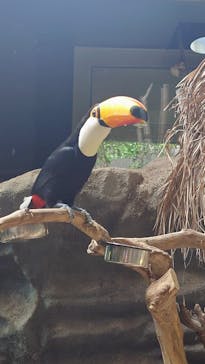 カワスイ 川崎⽔族館に投稿された画像（2025/3/5）