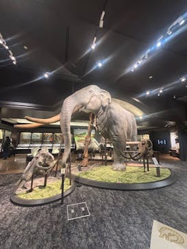 滋賀県立琵琶湖博物館に投稿された画像（2025/3/5）