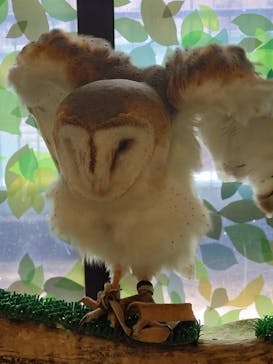 Moff animal world BIGHOPガーデンモール印西店に投稿された画像（2025/3/5）