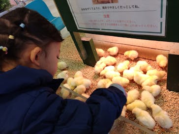 Moff animal world BIGHOPガーデンモール印西店に投稿された画像（2025/3/5）