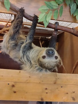 Moff animal world BIGHOPガーデンモール印西店に投稿された画像（2025/3/5）