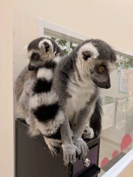 アニタッチららぽーと名古屋みなとアクルスに投稿された画像（2025/3/5）