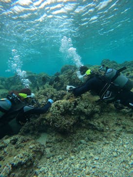 武藤潜水に投稿された画像（2025/3/6）