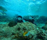 青の洞窟専門店　沖縄ダイビングショップ和に投稿された画像（2025/3/6）