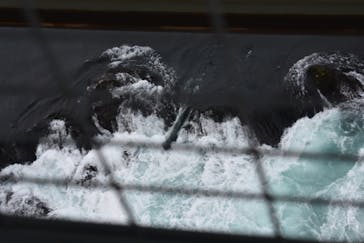 徳島県立 渦の道に投稿された画像（2025/3/6）