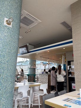 大分マリーンパレス水族館 「うみたまご」に投稿された画像（2025/3/6）