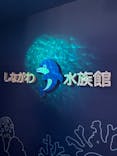 しながわ水族館に投稿された画像（2025/3/6）