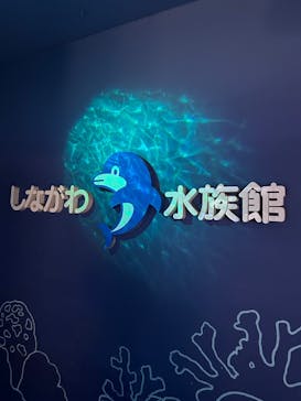 しながわ水族館に投稿された画像（2025/3/6）