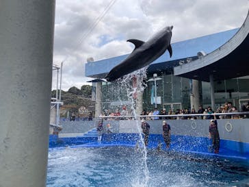 大分マリーンパレス水族館 「うみたまご」に投稿された画像（2025/3/6）