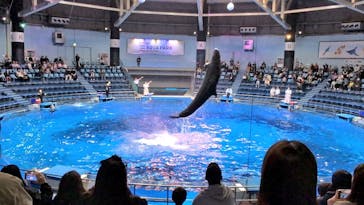 マクセル アクアパーク品川に投稿された画像（2025/3/6）