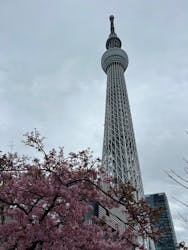 アトリエガラス工房ZO（ゾウ）に投稿された画像（2025/3/6）