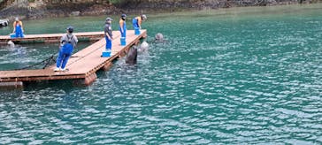 太地町立くじらの博物館に投稿された画像（2025/3/6）