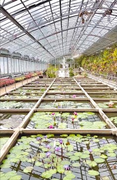 熱川バナナワニ園に投稿された画像（2025/3/6）