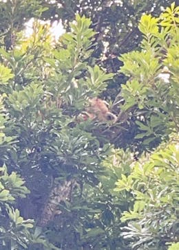 熱川バナナワニ園に投稿された画像（2025/3/6）