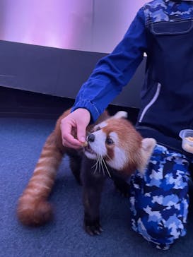 横浜・八景島シーパラダイスに投稿された画像（2025/3/6）