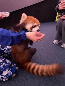 横浜・八景島シーパラダイスに投稿された画像（2025/3/6）