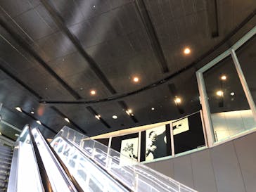 ストリートアートの進化と革命 展　- Street Art (R)Evolution -に投稿された画像（2025/3/6）