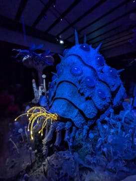 金曜ロードショーとジブリ展　三重展に投稿された画像（2025/3/6）