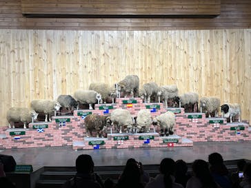 マザー牧場に投稿された画像（2025/3/6）