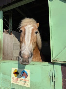 マザー牧場に投稿された画像（2025/3/6）