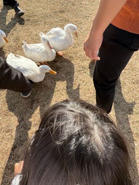 マザー牧場に投稿された画像（2025/3/6）