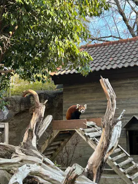 ひらかたパークに投稿された画像（2025/3/6）