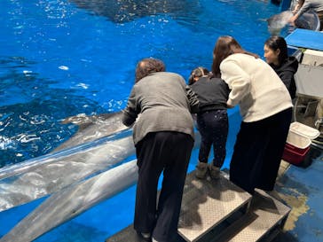 マクセル アクアパーク品川に投稿された画像（2025/3/6）