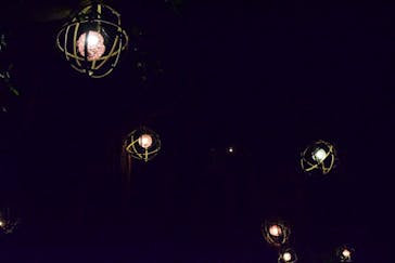 体験王国 むら咲むらに投稿された画像（2025/3/6）