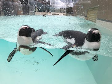 マリンワールド海の中道に投稿された画像（2025/3/6）