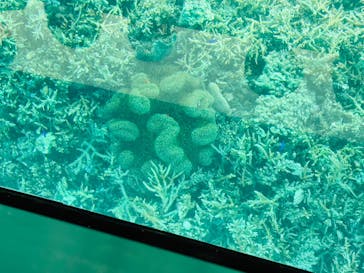 まりんはうすぐるくんに投稿された画像（2025/3/6）