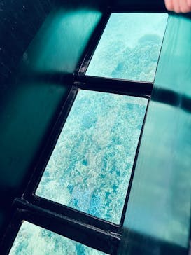 まりんはうすぐるくんに投稿された画像（2025/3/6）